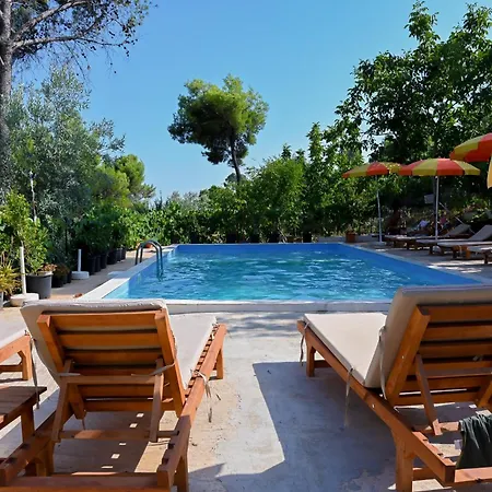 Gini Palace - *