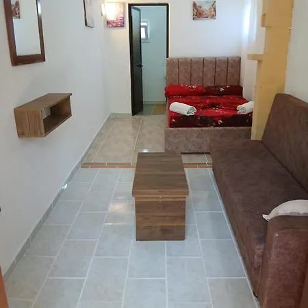 Gini Palace -