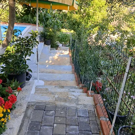 Gini Palace -