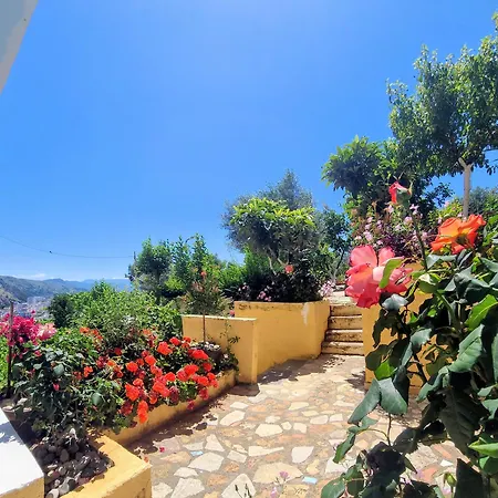 Gini Palace -