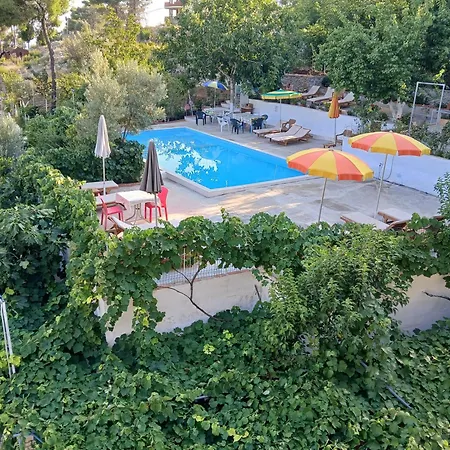 Apartmán Gini Palace - *